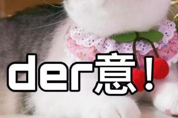 骂人的der是什么意思图标