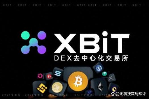 派币中国官方最新消息图标