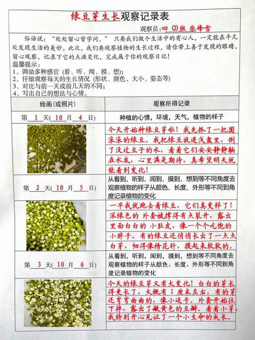 绿豆观察记阅读理解游戏截图