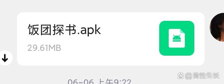 饭团探书旧版本下载安装缩略图