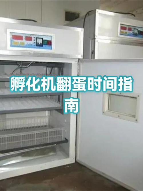 我的世界神奇宝贝孵化蛋要多久缩略图