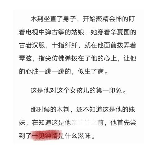 大师兄小说wingying图标