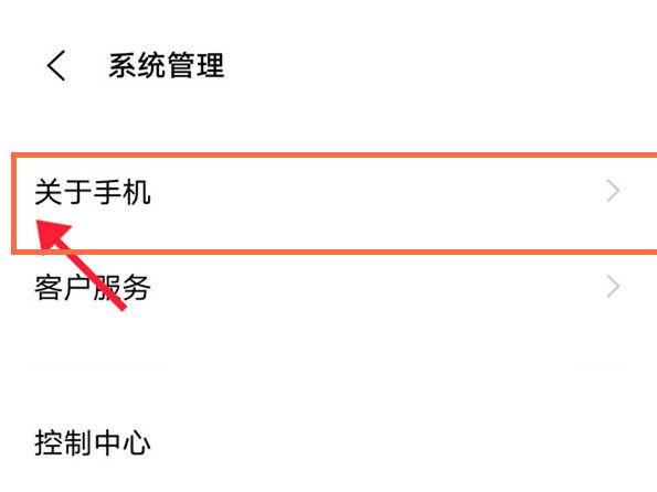 vivo手机怎么开开发者模式缩略图