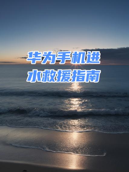 手机进水充不上电的解决方法游戏截图