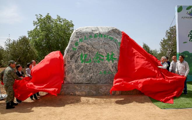 全民义务植树运动十周年一元硬币游戏截图