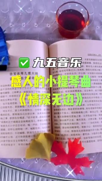 音乐题材小说图标