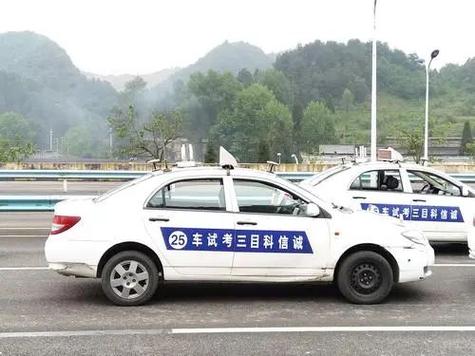 科目二科目三换教练吗缩略图