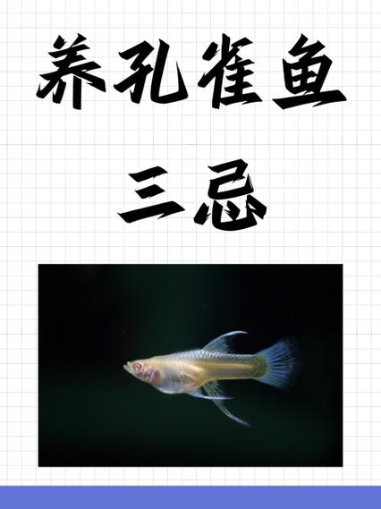 养孔雀鱼水浑什么原因图标