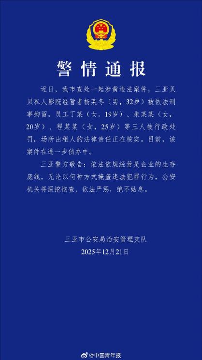 17岁去私人影院会被警察抓吗游戏截图