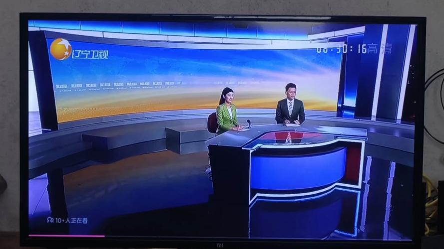 辽宁卫视第一时间2010视频缩略图