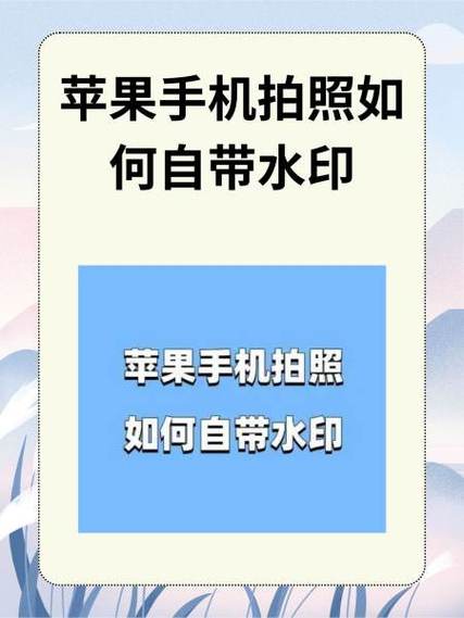 苹果11手机拍照发黄怎么调缩略图
