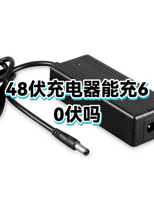 电瓶车充电器48伏能充60伏吗缩略图
