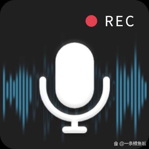 华为手机的通话录音功能在哪里找图标