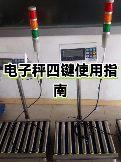 scale电子秤使用说明游戏截图