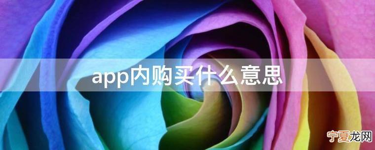 下载软件app内购买什么意思缩略图