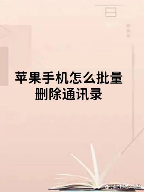 苹果手机如何将通讯录全部删除缩略图