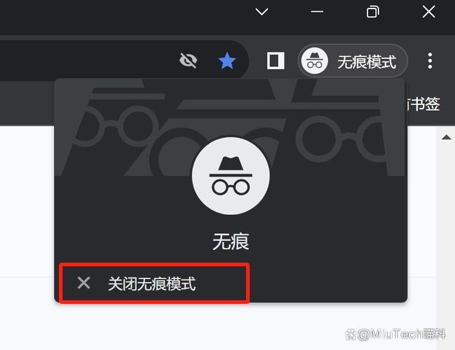 苹果自带浏览器怎么关闭无痕模式缩略图