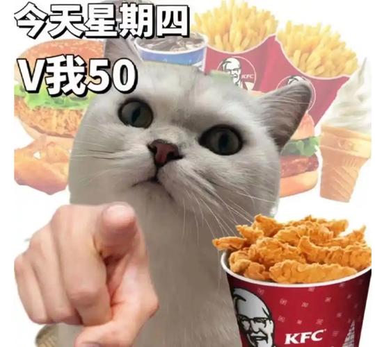 疯狂星期四v50图片表情包游戏截图