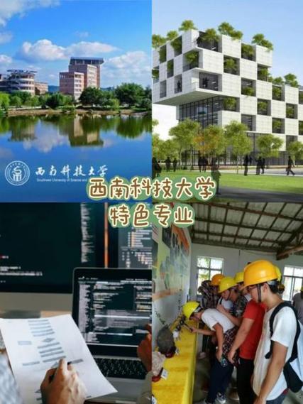 西南科技大学本科生排名怎么查游戏截图