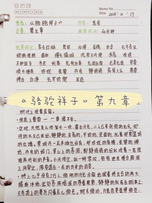 骆驼祥子读书笔记摘抄1~24章图标