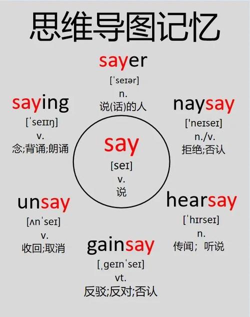 英语单词记忆训练系统图标