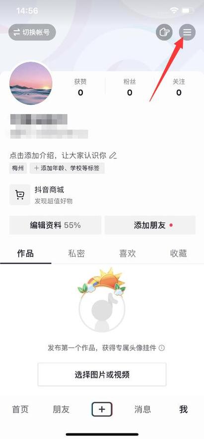 抖音注销可见性查询器 游戏截图
