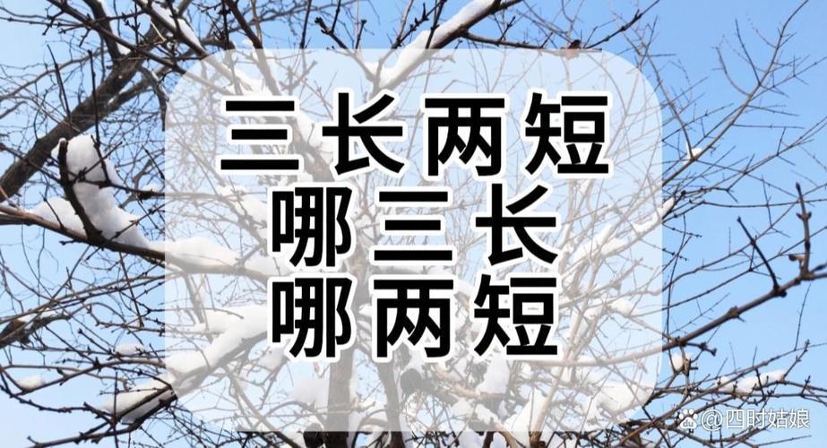 三长两短打一精准生肖图标