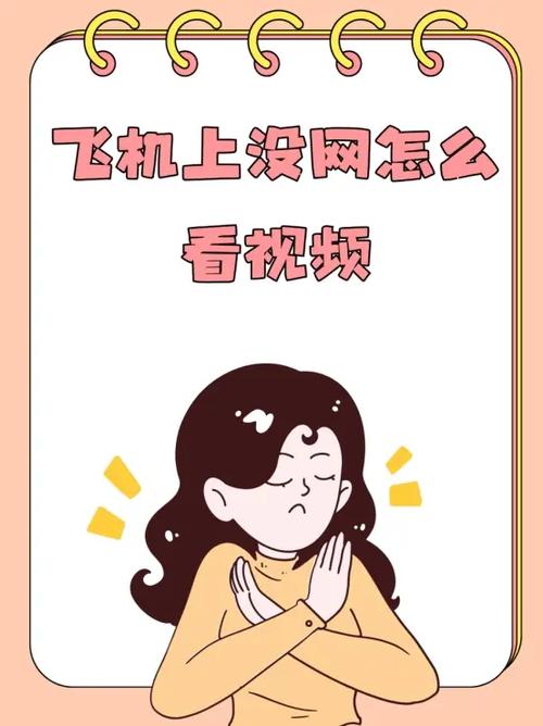 飞机上可以看离线缓存的视频吗缩略图
