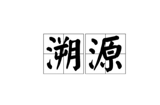 溯源是什么意思游戏截图