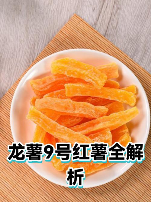 龙薯九号红薯简介缩略图