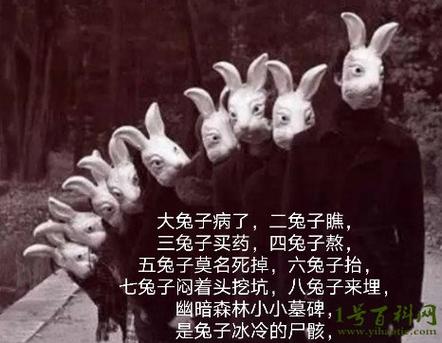 兔子为什么突然死了缩略图