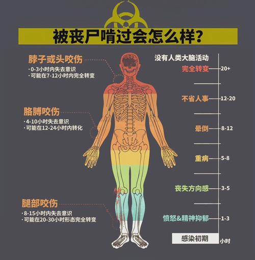 我被丧尸咬了笔趣阁寒夜图标