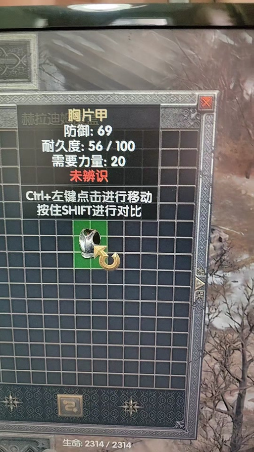 暗黑破坏神2重制版大箱子补丁缩略图
