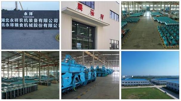 金凤凰农业发展有限公司图标