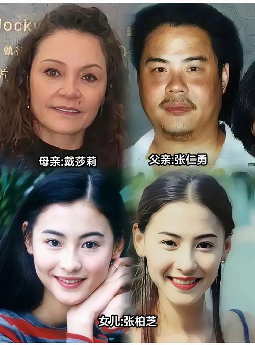 张语芯和张柏芝谁更牛缩略图