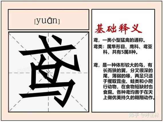 就加个鸟字念什么图标