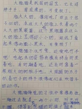 可爱的小熊猫作文400字左右缩略图