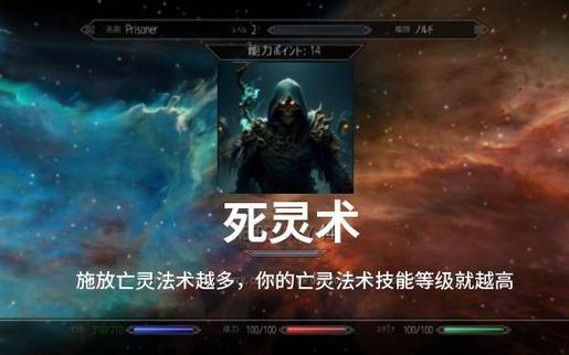 上古卷轴5亡灵治疗术有几个缩略图