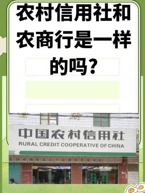 农村信用社的卡日限额怎样调整缩略图