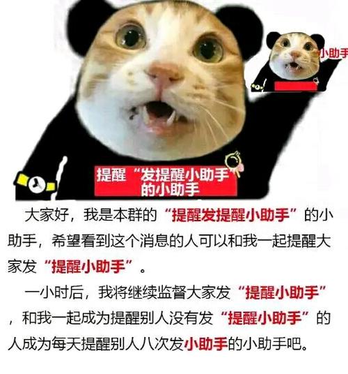 搜狗输入法打字出现表情包怎么设置缩略图