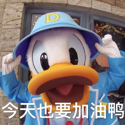 加油鸭表情包缩略图