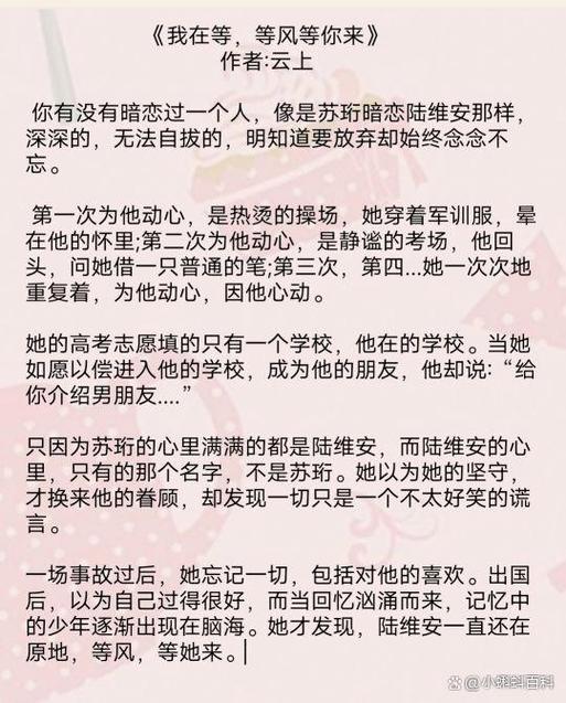 十部顶级耐看小说暗恋图标