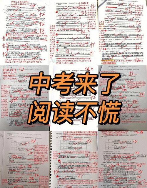 初三语文阅读理解专项训练游戏截图