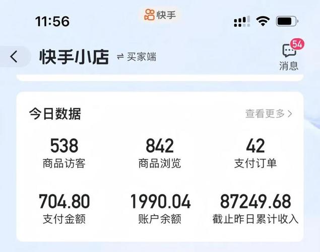 怎么查快手一年的消费总额图标