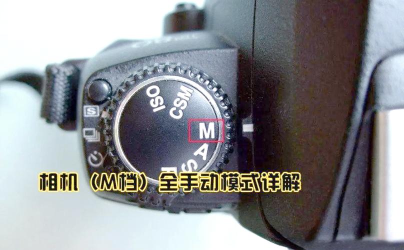 相机m档是什么功能图标