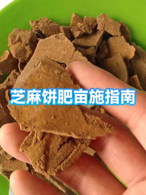 哺乳期可以吃芝麻饼吗图标