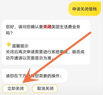 美团钱包下的借钱怎么隐藏游戏截图