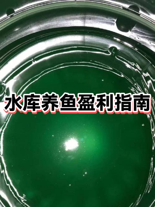水库生态养鱼利润怎么样图标