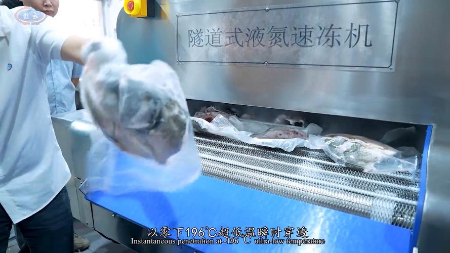 冰箱冷冻室不冻的原因游戏截图