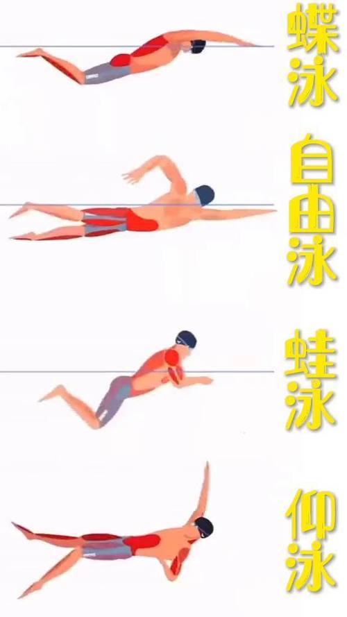 泳姿有哪6种缩略图